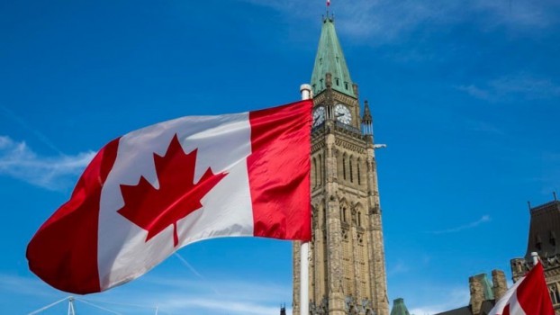 Canadian business growth chart symbolizing SEO services that deliver organic leads