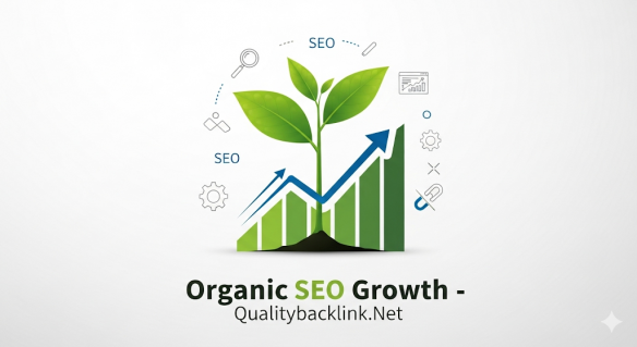 Organic SEO Growth strategy helping websites build strong and sustainable SEO foundations